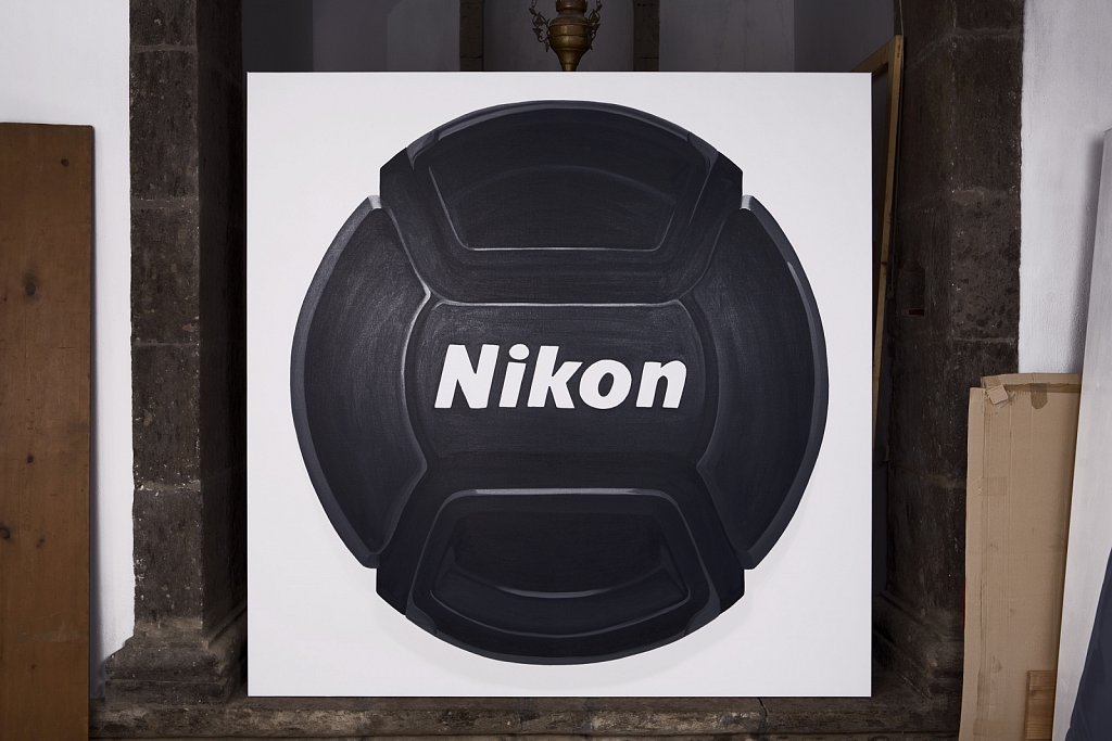 NIKON-cat-copy.jpg
